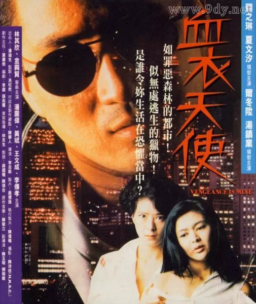 血衣天使[1993/香港/惊悚][6.03G/MKV/双语]