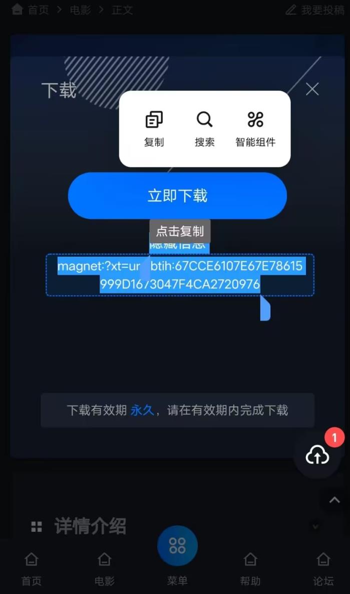 下载指导教程