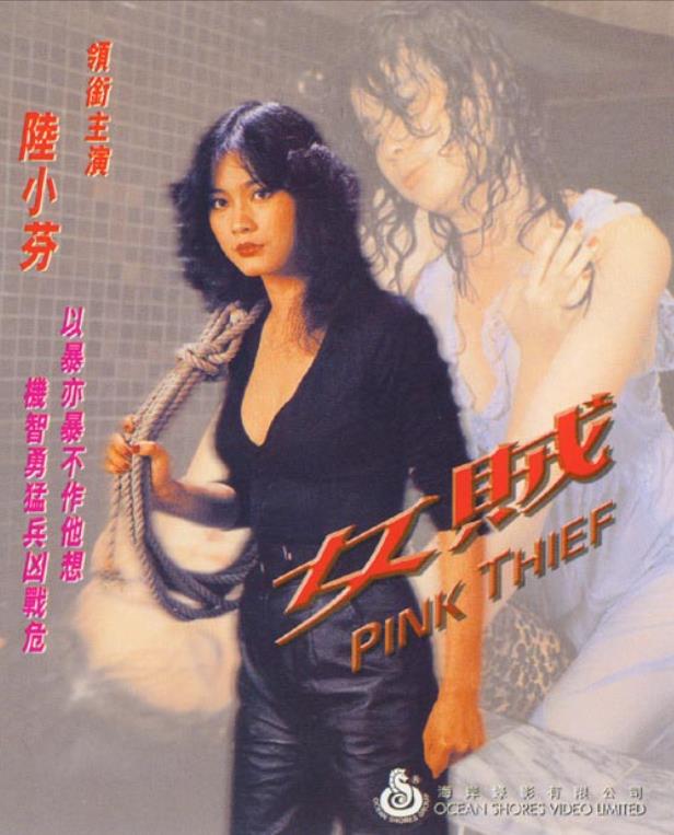 女贼[1982/台湾/犯罪][1.2G/MKV/国语]