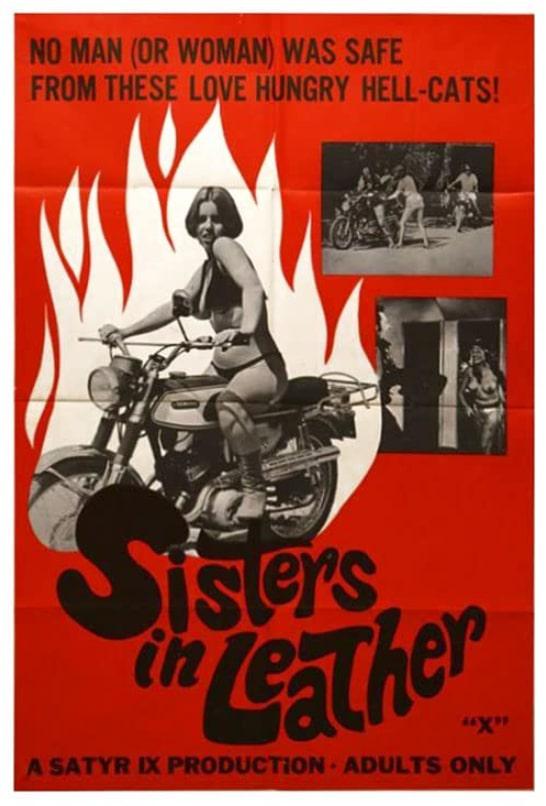 皮衣姐妹[1969/美国/犯罪][3.65G/MKV/中字]