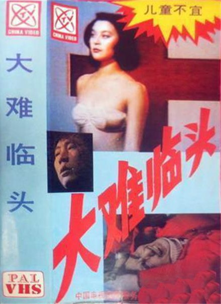 大难临头[1990/大陆/犯罪/4集][1.62G/MKV/国语]